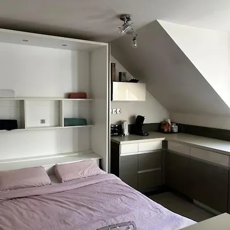 Апартаменты Duplex A Deux Pas Du