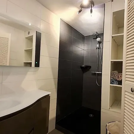 Duplex A Deux Pas Du Appartement